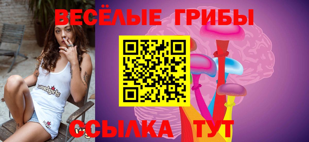 Псилоцибиновые грибы мухоморы Домодедово